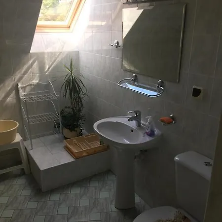 Willa Roz 德兹维济诺